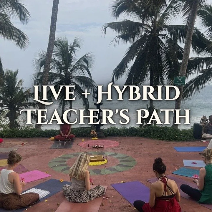 Live + Hybrid Teachers Path